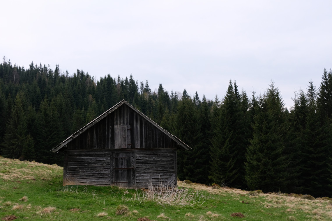 Timeless Photography NFT - Timeless #002