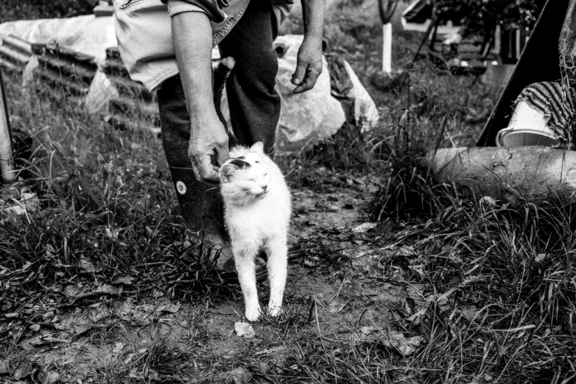 Timeless Photography NFT - Timeless #007