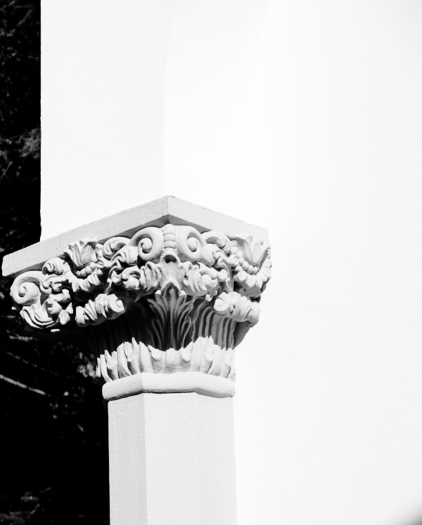 Timeless Photography NFT - Timeless #020
