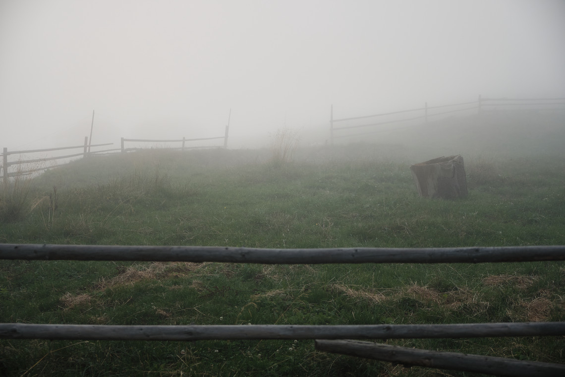 Timeless Photography NFT - Timeless #023
