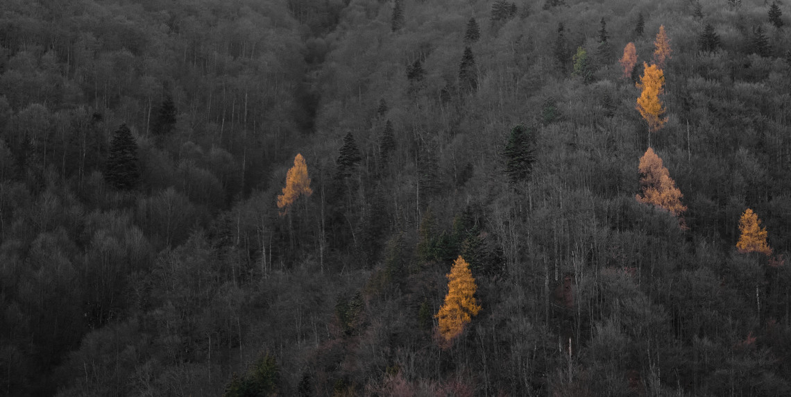 Timeless Photography NFT - Timeless #034