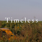 Timeless Photography NFT