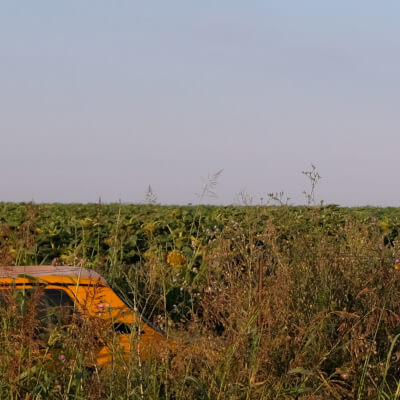 Yellow Car in Field - Timeless Photography NFT