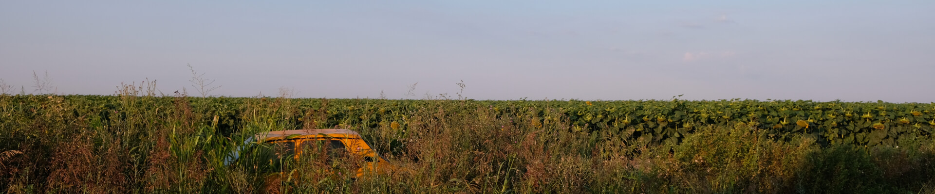 Yellow Car in Field - Timeless Photography NFT